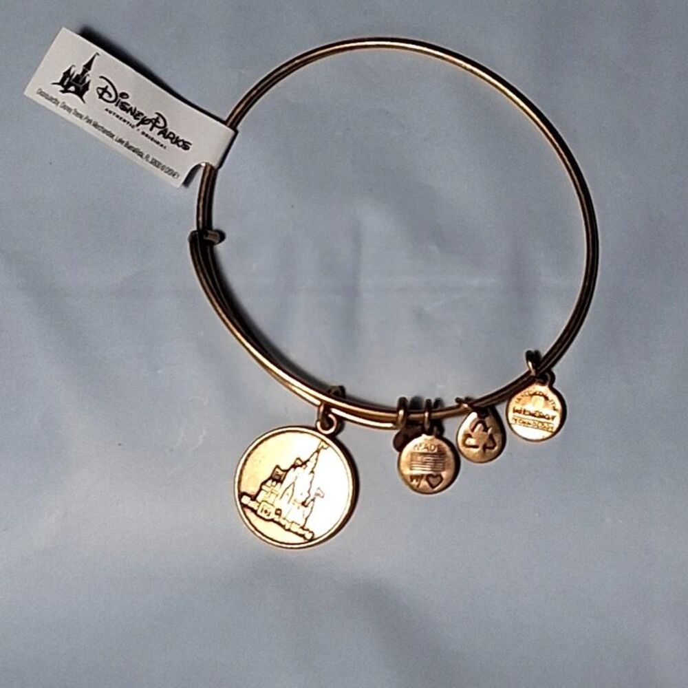 Alex and Ani Disney parks Castle Charm Bracelet new